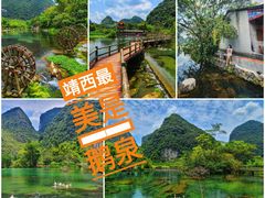 -靖西鹅泉风景区
