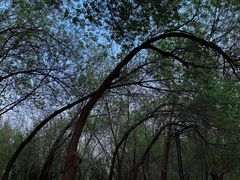 -元大都城垣遗址公园