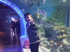 -常州海昌海洋探索馆