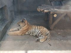 -西安秦岭野生动物园