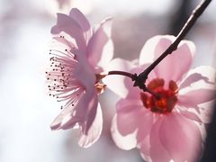 -白塘生态植物园