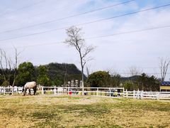 -诸暨耀江开元名都大酒店