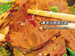 -福照楼汽锅鸡·云南菜(护国路店)