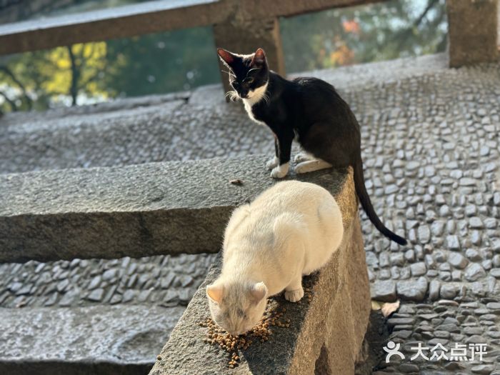 西园戒幢律寺图片
