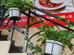 -海盗虾饭·剥好的小龙虾饭(上地辉煌店)