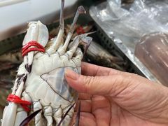 -金沙滩海鲜餐厅·海肠捞饭·手工水饺(梅江龙水园店)