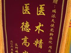-瑞派天使宠物医院·神经外科·骨科·核磁(洛川中路店)