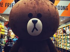 -line friends(明洞旗舰店)
