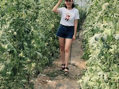 -庞各庄西瓜蔬菜采摘园·锦华瓜园