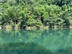 -祁门牯牛降观音堂风景区