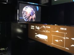 -同济大学四平路校区深海探索馆