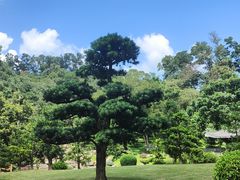 -深圳仙湖植物园