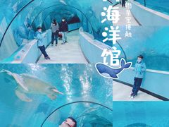-苏州海洋馆