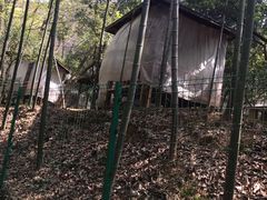 -宝岩生态观光园