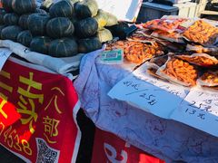 -蒲河大集