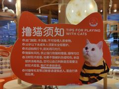 -米乐乖乖猫咪咖啡馆·猫咖(深圳湾后海汇店)