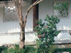 -秋霞圃