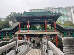 -星光大道
