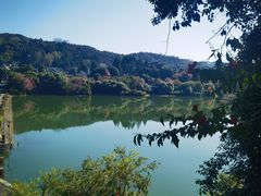 -和顺古镇
