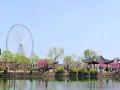 -无锡蠡湖国家湿地公园-蠡园