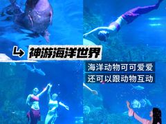 -威海华夏城景区