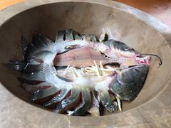 -鱼䲆鱻云南草帽蒸汽石锅鱼(云尚国际店)