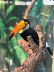 -Zoolung Zoolung动物主题公园(海信广场店)