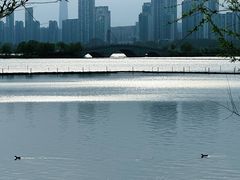 -东湖生态旅游风景区
