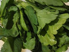 茼蒿-老东风菜馆·潮汕大排档