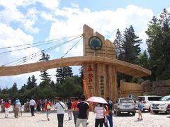 -五营红松林海景区