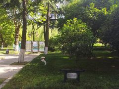 -木塔寺遗址生态公园