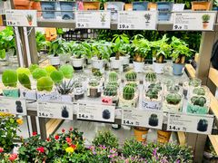 -鹿岛生活(熙地港店)