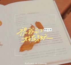 -香薇妮丝女子减肥院