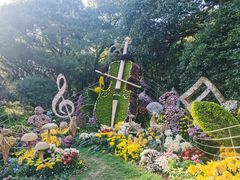 -杭州植物园