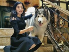 -more than meow吴止猫主题餐厅(承德 中船汇店)