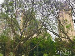西区宿舍-广西大学(大学东路校区)