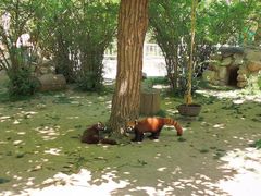 -西安秦岭野生动物园