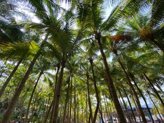 -海南分界洲岛旅游区