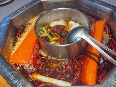 -蜀九香火锅(九眼桥店)