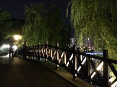 -聚龙湖公园