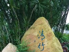 -晓港公园