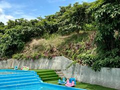 -桃源山庄·水蜜桃采摘·柴火鸡·烧烤团建(龙泉山店)