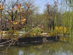 -南翠屏公园