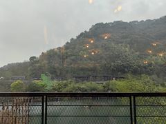 -芳草地度假酒店·野炉中餐厅