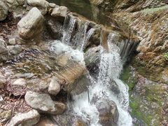 -牛背梁国家森林公园