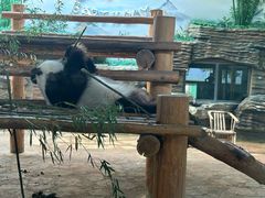 -西霞口神雕山野生动物世界