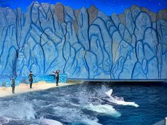-珠海长隆海洋王国