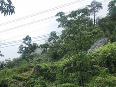 -藏龙百瀑风景区