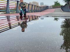 -府河摄影公园