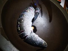 -咕嘟草帽鱼·牛奶一样的鲜鱼汤(包河万达广场创始店)